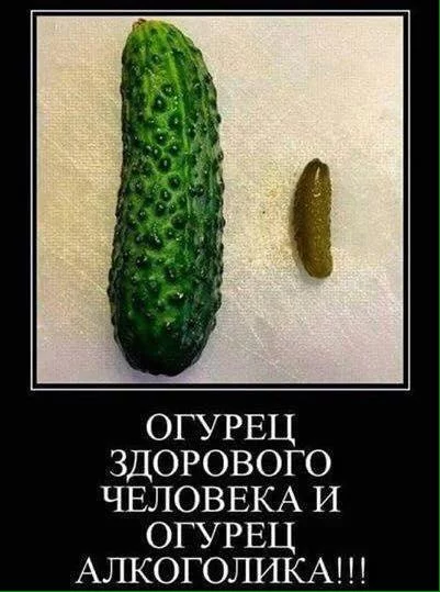 jj3jej.webp