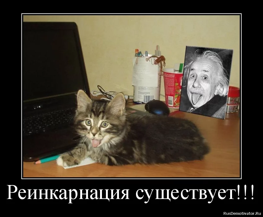 jj4hfh.webp