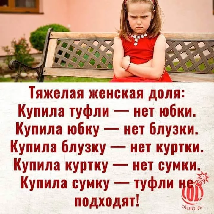 jj5gdj.webp