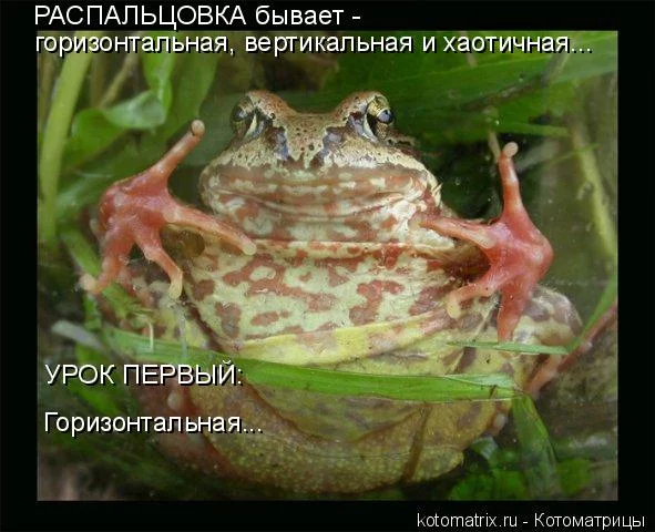 jjd2hj.webp