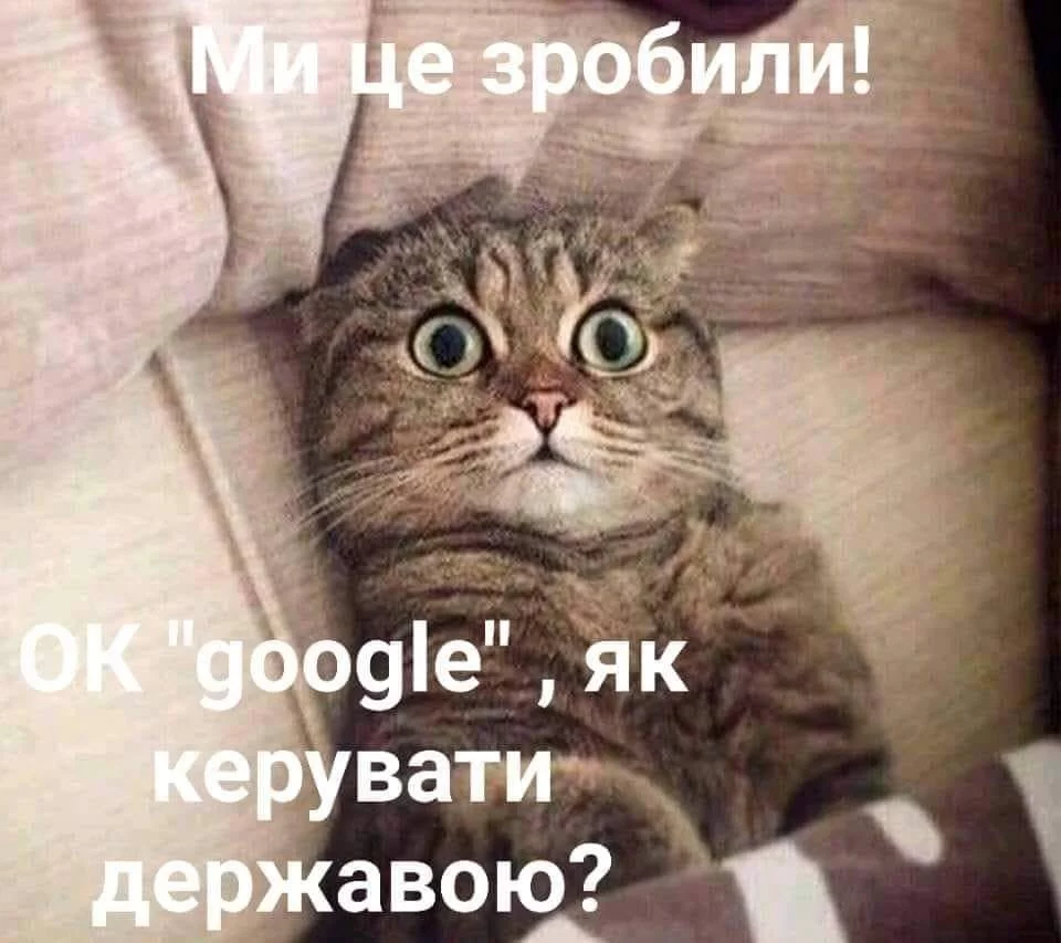 jje7cj.webp