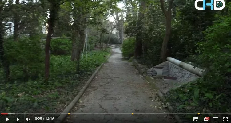 jjeja2.webp