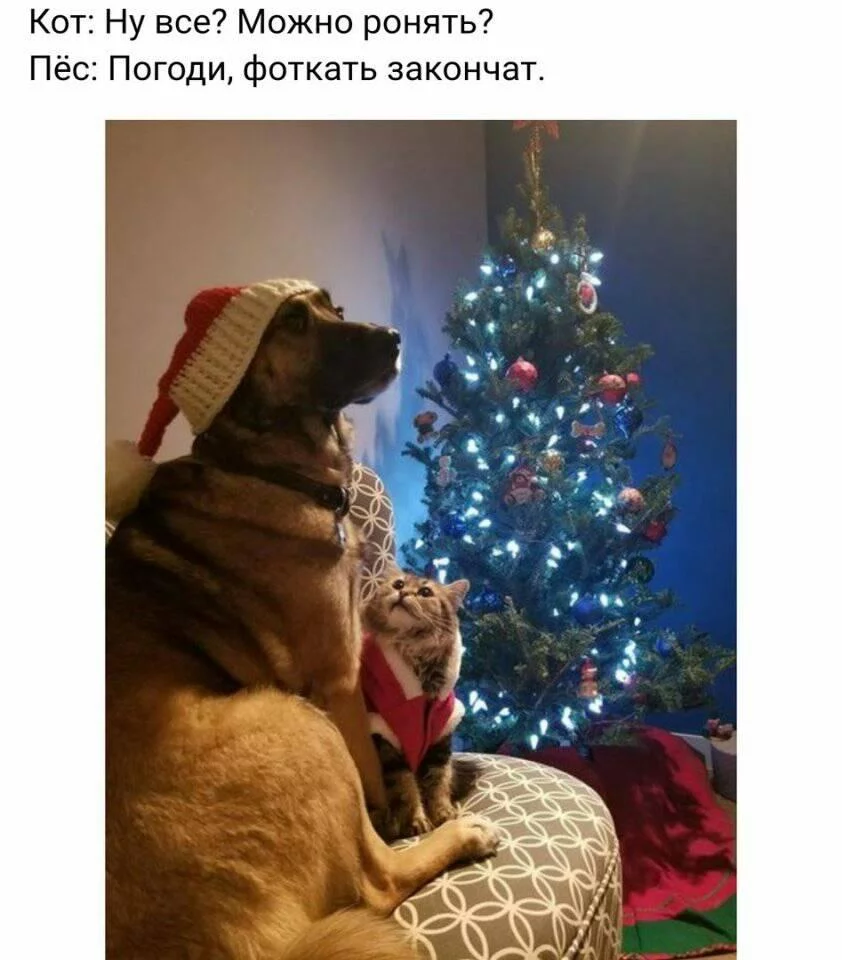 jjfhh2.webp
