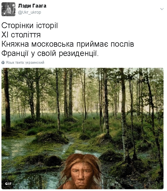 jjgcd8.jpg