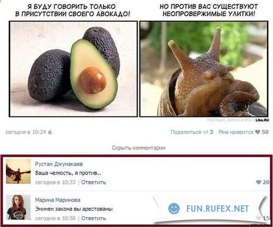 jjgjd9.webp
