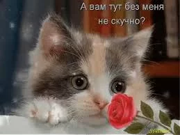 jjjee0.webp