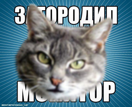 jkQCMHQ7Md0.jpg