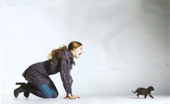 joanna-newsome-cat-580x355.webp