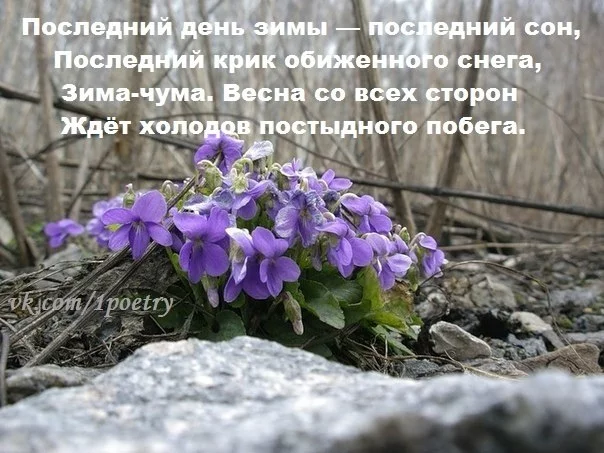 jOVodnHhAoQ.webp
