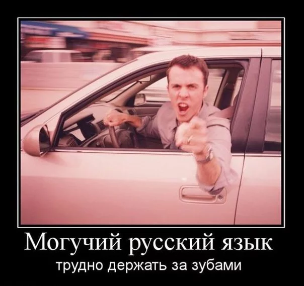 JQKBBhLzXP0.webp
