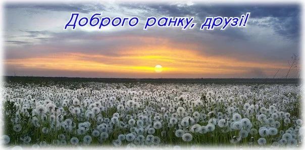 jQuMQWWbXNU.webp