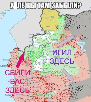 jswvyO3lknU.webp
