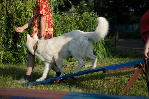 june2010_sugar_web-12.webp