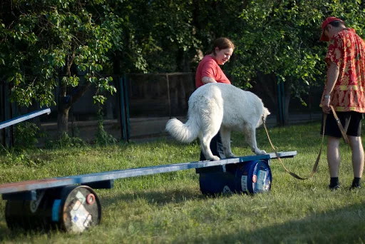 june2010_sugar_web-22.webp