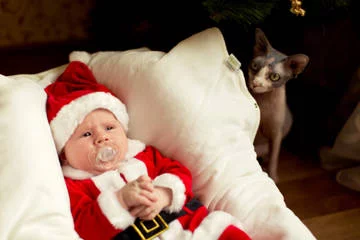 Jve05.webp