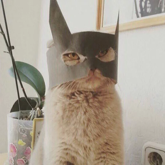 JVSTj0Dydh4.webp