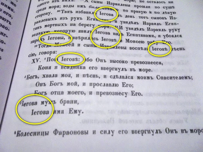 jw5.webp