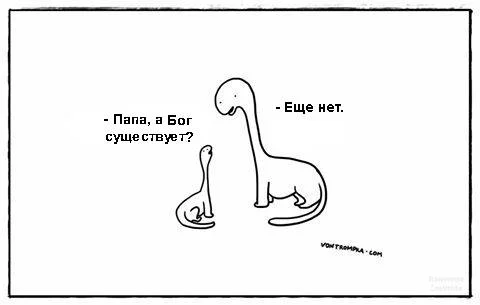 JY6iIS5npM0.webp