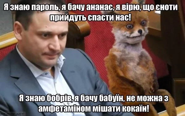 jZXOpzZh34s.webp