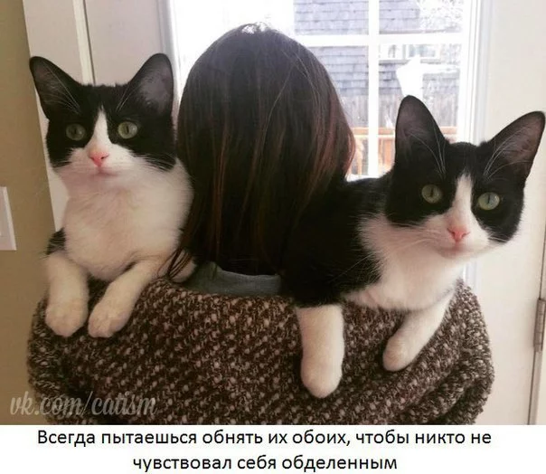 K5OaEfrLiv4.webp
