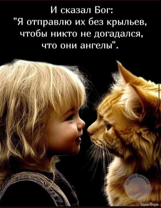 K_s9ZnemqDJnzlA&_nc_zt=23&_nc_ht=scontent.fiev28-1.jpg