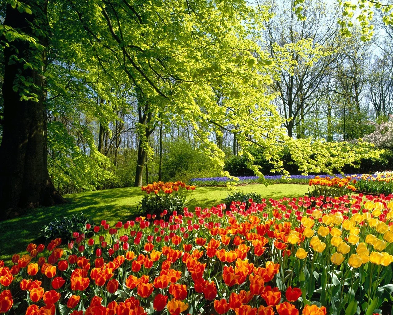 k_wallpaper_spring_nature_wallpaper_1280_1024_1215.webp