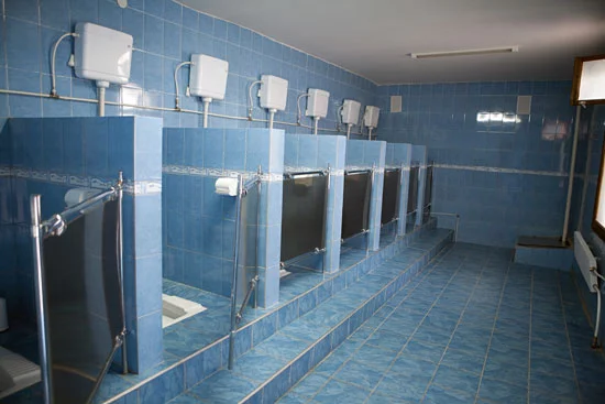 kachkoloniya_17.webp
