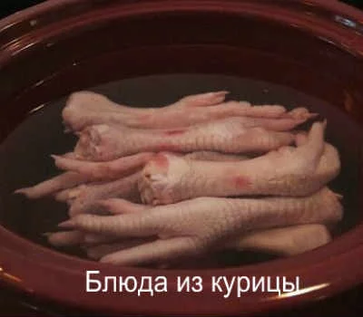 kak-prigotovit-kurinye-lapki.webp