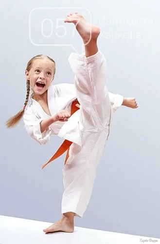 karatekids1_66a8c27f93776.webp