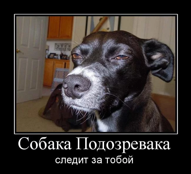 KAx6wxC9Uvk.webp