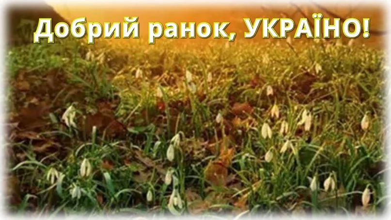 kbJSkyqY0FM.webp