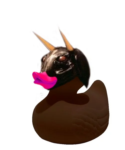 Kc0UErJ0xs8.webp