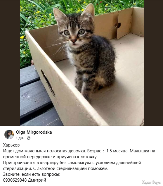 кд.PNG