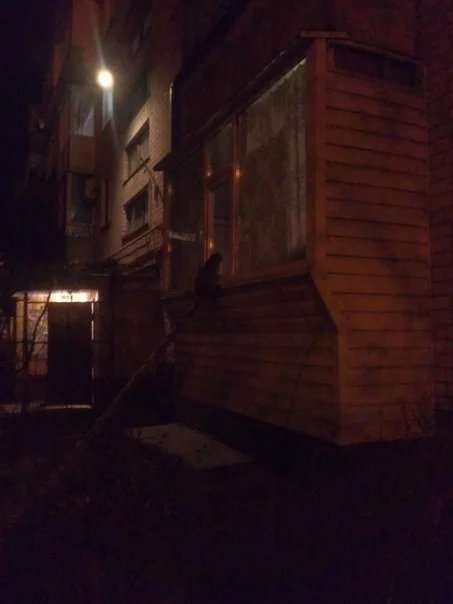kFYrhtRS6mc.webp