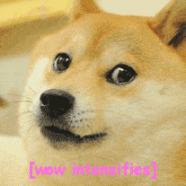 kgn1c9jgg5tj5lcq9pi8.gif