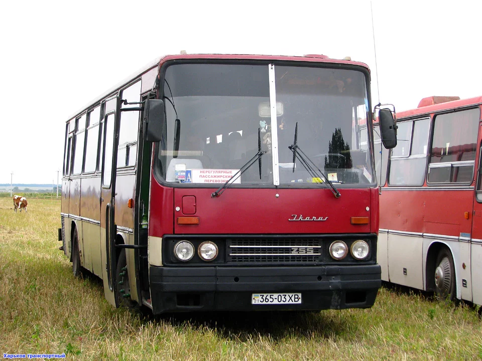 kha_ikarus256__xb36503_20090822_r1.webp