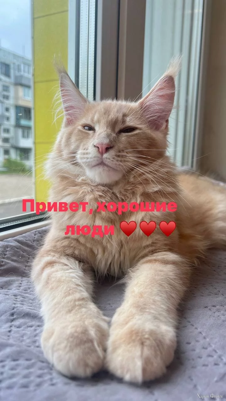 , хорошие люди!.webp