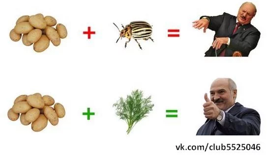 khr-i3sureI.webp