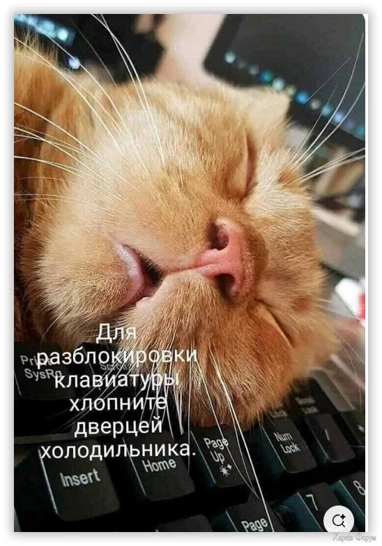  хитрости.webp