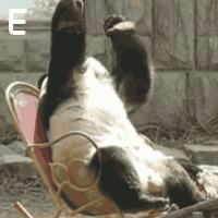 kianurivzznamenitostimashinakakbotinki729724.gif
