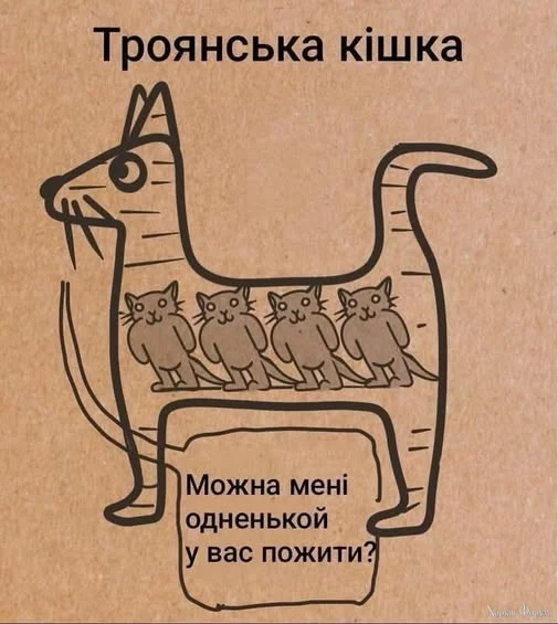 kIcMm9Y9JM3wVpo&_nc_zt=23&_nc_ht=scontent.fiev28-1.webp