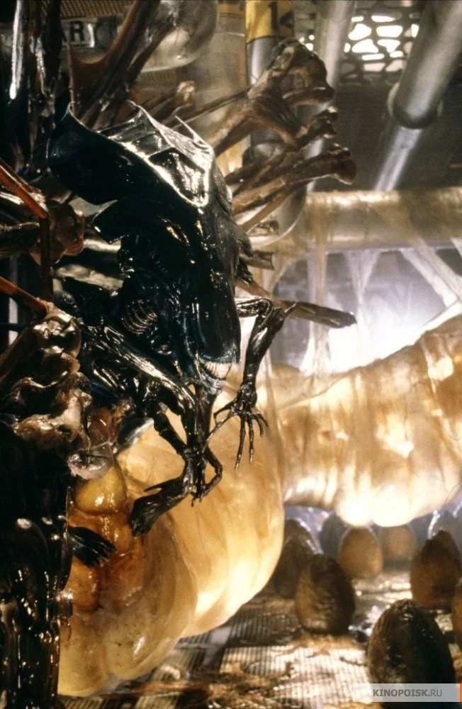 kinopoisk.ru-Aliens-1050988.webp