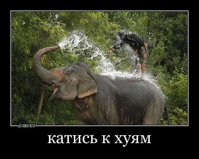 kjSj2Fy5TI0.webp