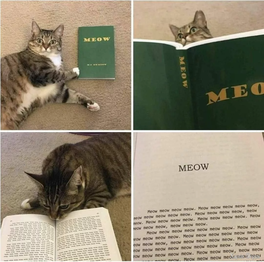  книга.webp