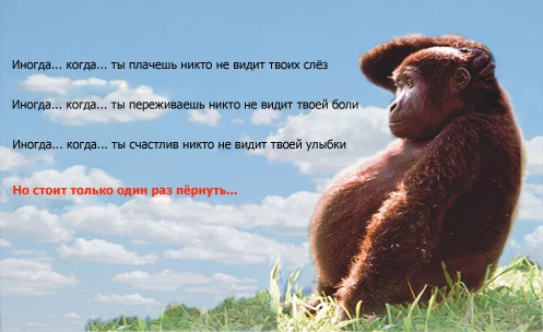 kogda.webp