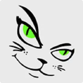 koshka_2.webp