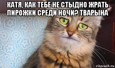 kot-pechal_67117039_orig_.jpg