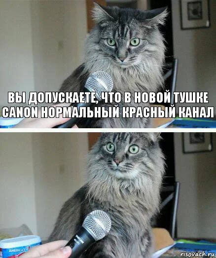 kot-s-mikrofonom_90830722_orig_.webp