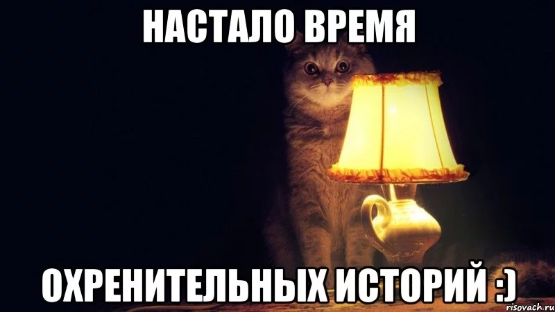 kot_36574669_big_.webp