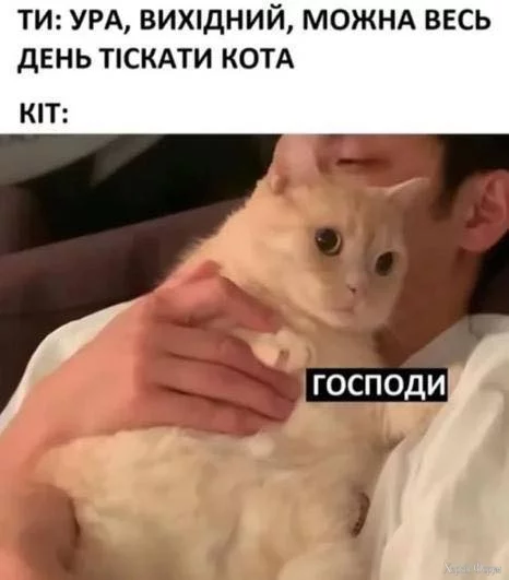 Тискати кота .jpg